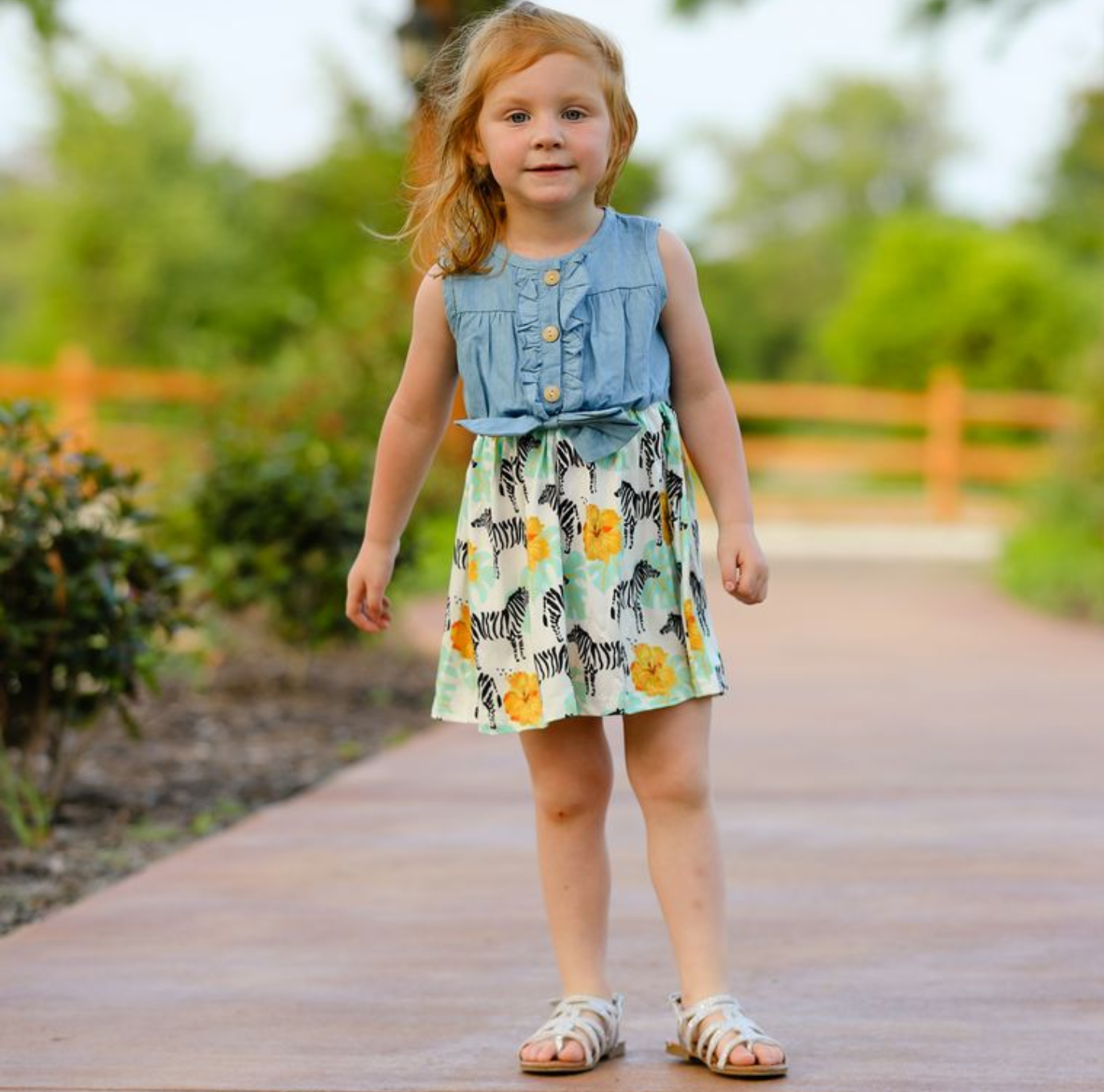 Denim Zebra Button Down Dress