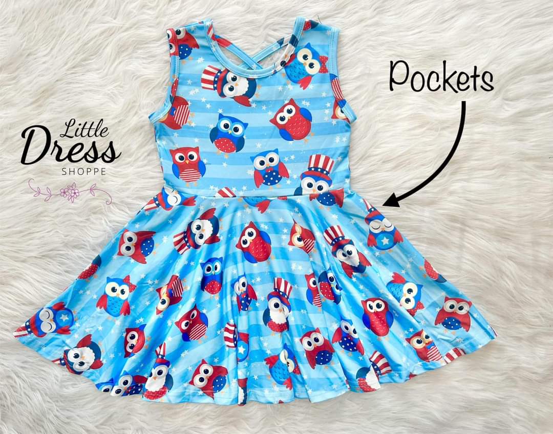 Patriotic Owl Twirl Dress