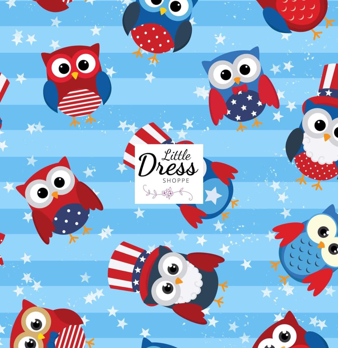 Patriotic Owl Twirl Dress