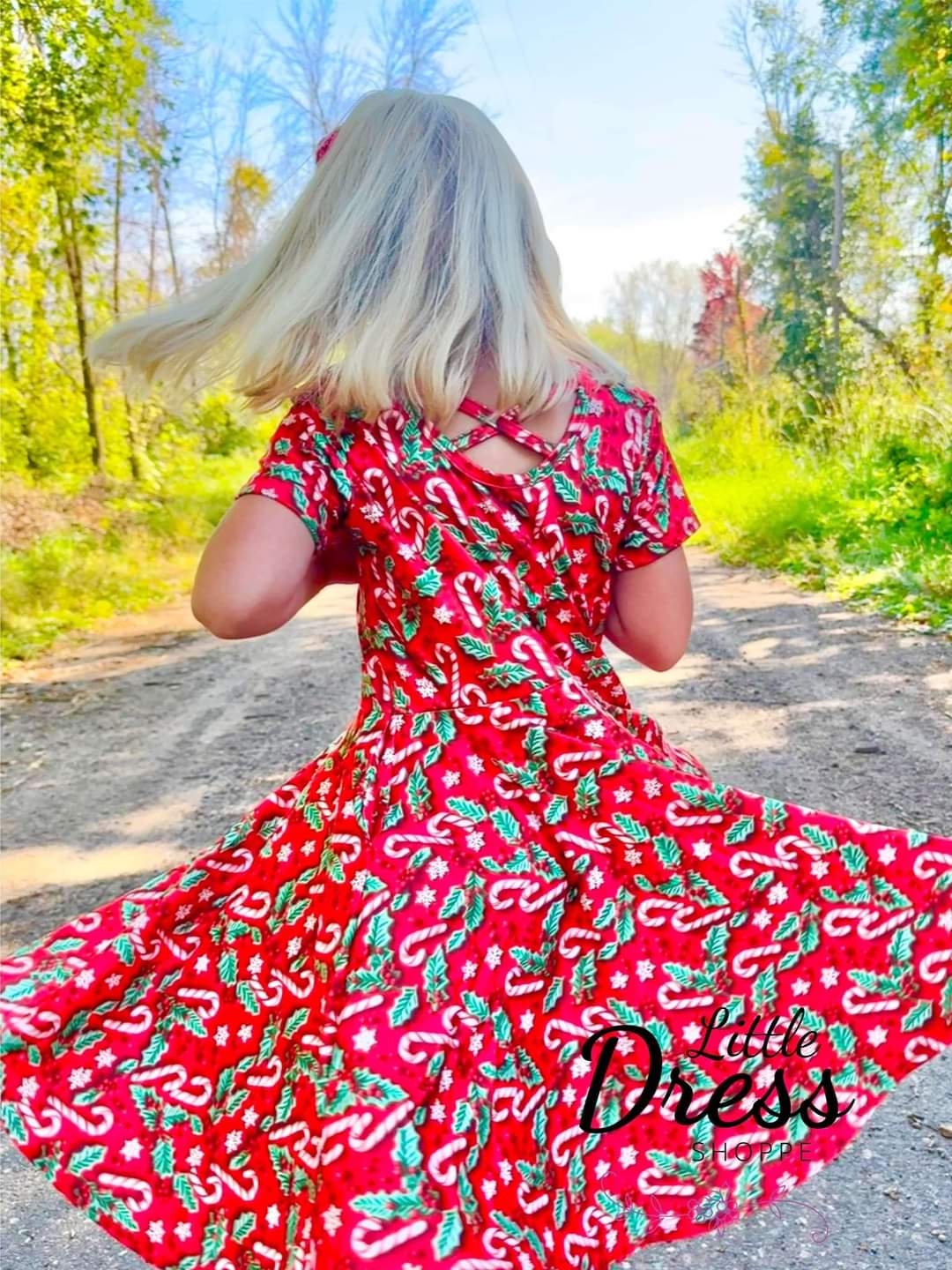 Candy Canes & Holly Twirl Dress